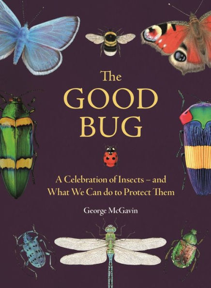 The Good Bug: A Celebration of Insects - and What We Can Do to Protect Them