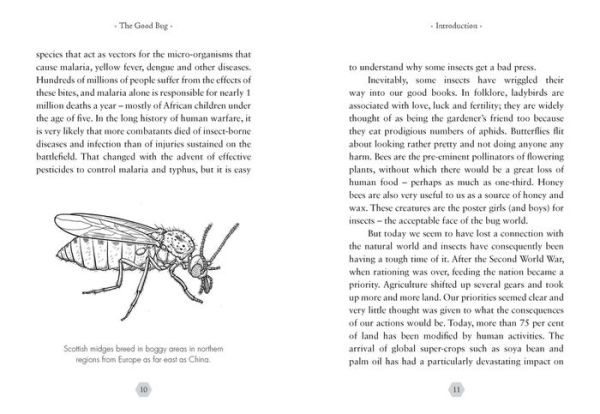 The Good Bug: A Celebration of Insects - and What We Can Do to Protect Them