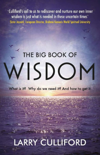 The Big Book of Wisdom: What Is It? Why Do We Need It? And How to Get It?