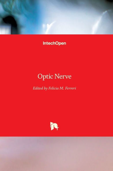 Optic Nerve