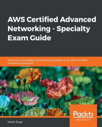 AWS Certified Advanced Networking - Specialty Exam Guide by Marko Sluga Sns-Brigh10