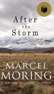 Title: After the Storm: A Novel, Author: Marcel Moring