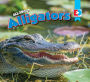 All About Alligators