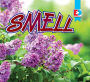 Smell