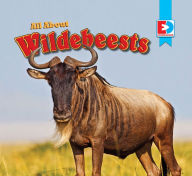 Title: All About Wildebeests, Author: Katie Gillespie