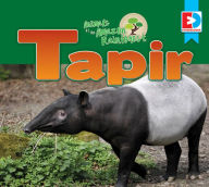 Title: Animals of the Amazon Rainforest: Tapir, Author: Katie Gillespie