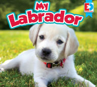 Title: My Labrador, Author: Heather Kissock