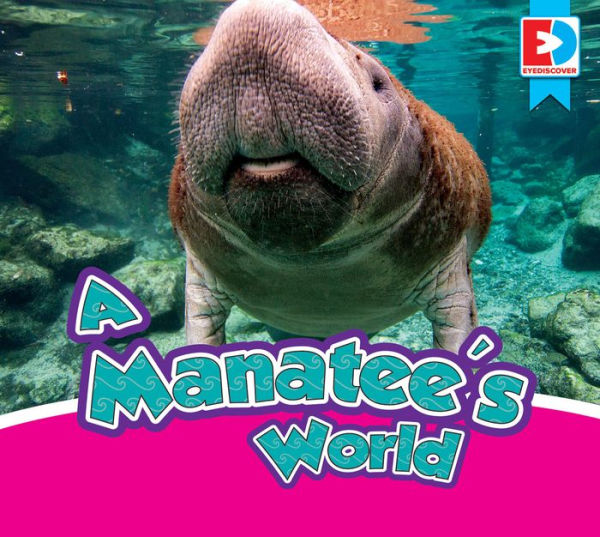 A Manatee's World