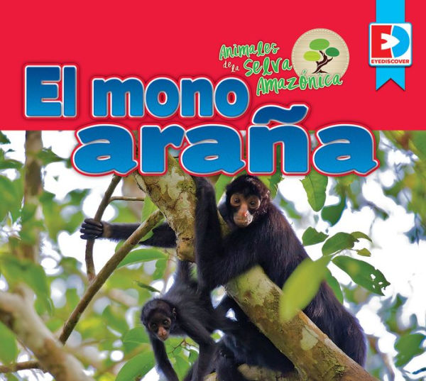 Animales de la Selva Amazónica - El mono araña