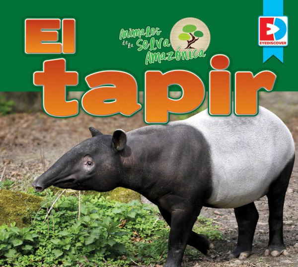Animales de la Selva Amazónica - El tapir