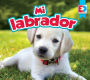 Mi labrador