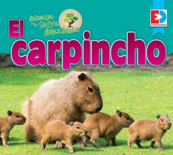 Animales de la Selva Amazónica - El carpincho