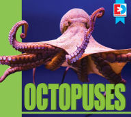 Title: Octopuses, Author: Maria Koran