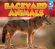 Title: Backyard Animals, Author: Maria Koran