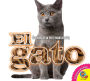 El gato