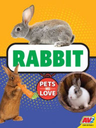 Title: Rabbit, Author: Jill Foran