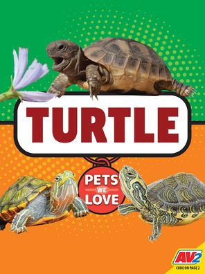 Turtle
