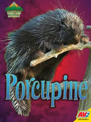 Porcupine