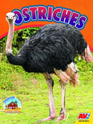 Title: Ostriches, Author: Sierra Wilson