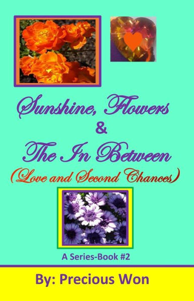 Sunshine, Flowers & The In Between (Love and Second Chances)