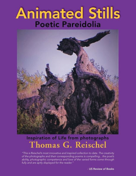 Animated Stills: Poetic Pareidolia