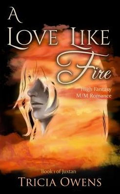 A Love Like Fire: High Fantasy M/M Romance