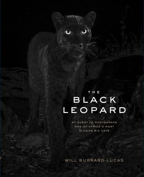 The Black Leopard: My Quest to Photograph One of Africa's Most Elusive Big Cats