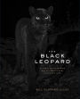 The Black Leopard: My Quest to Photograph One of Africa's Most Elusive Big Cats