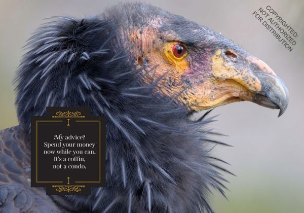 Feathered & Fabulous: Wit and Wisdom from Glamorous Birds