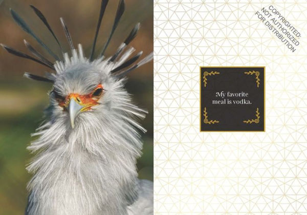 Feathered & Fabulous: Wit and Wisdom from Glamorous Birds