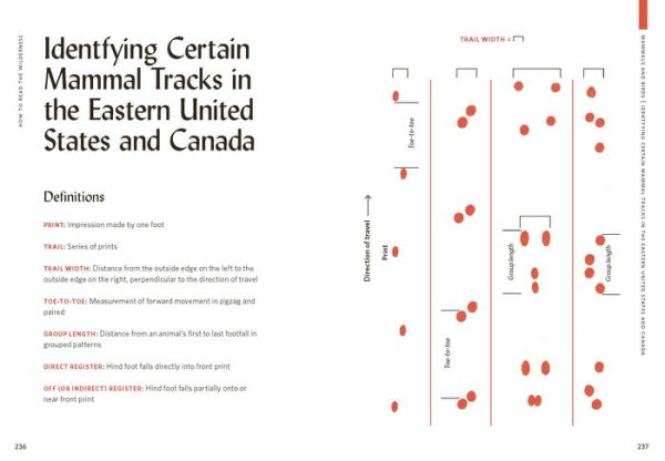 How to Read the Wilderness: An Illustrated Guide to the Natural Wonders of North America