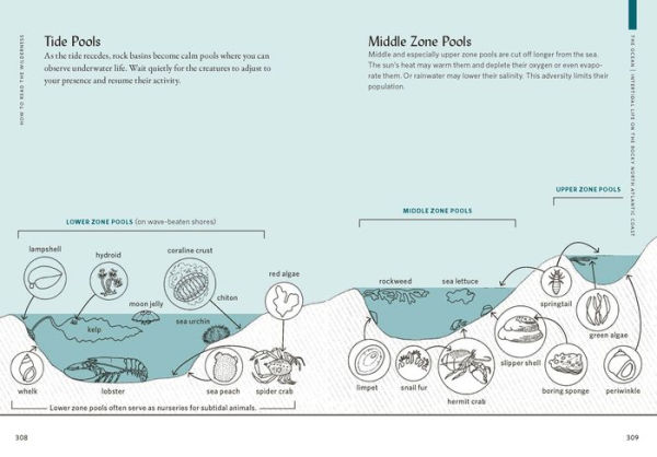 How to Read the Wilderness: An Illustrated Guide Natural Wonders of North America