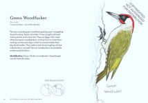 Alternative view 3 of The Field Guide to Dumb Birds of the Whole Stupid World