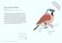 Alternative view 4 of The Field Guide to Dumb Birds of the Whole Stupid World