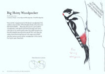 Alternative view 5 of The Field Guide to Dumb Birds of the Whole Stupid World