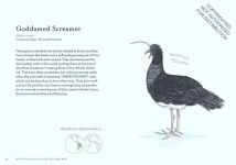 Alternative view 6 of The Field Guide to Dumb Birds of the Whole Stupid World