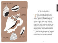 Alternative view 4 of Pocket Nature Series: Beachcombing: Cultivate Mindful Moments by the Shore