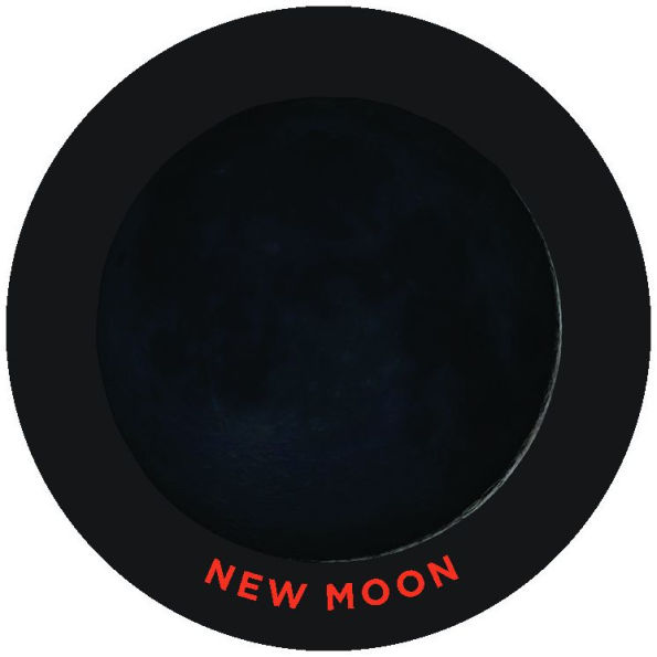 Moon Matching Game: Featuring Photos from the Archives of NASA