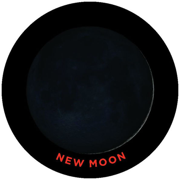 Moon Matching Game: Featuring Photos from the Archives of NASA
