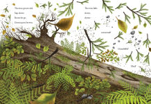 Alternative view 5 of When a Tree Falls: Nurse Logs and Their Incredible Forest Power