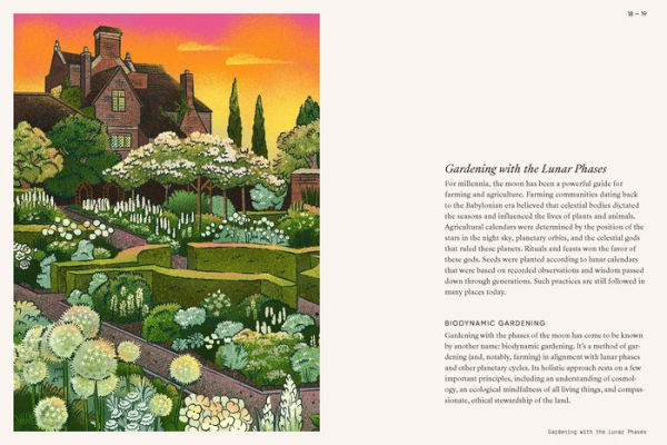 Moon Garden: A Guide to Creating an Evening Oasis