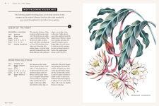 Alternative view 3 of Moon Garden: A Guide to Creating an Evening Oasis