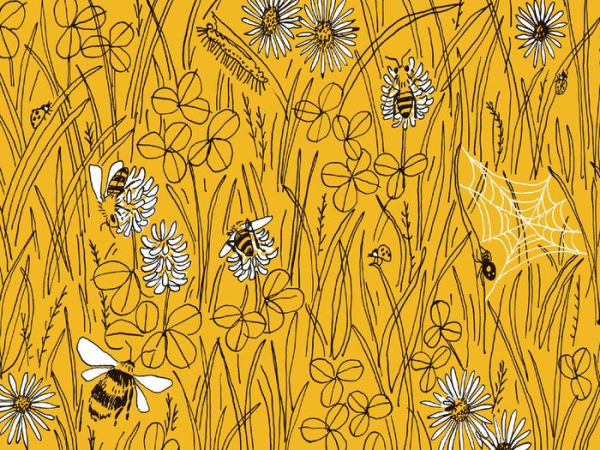 Pocket Nature: Beekeeping: Explore the Marvelous World of Honeybees