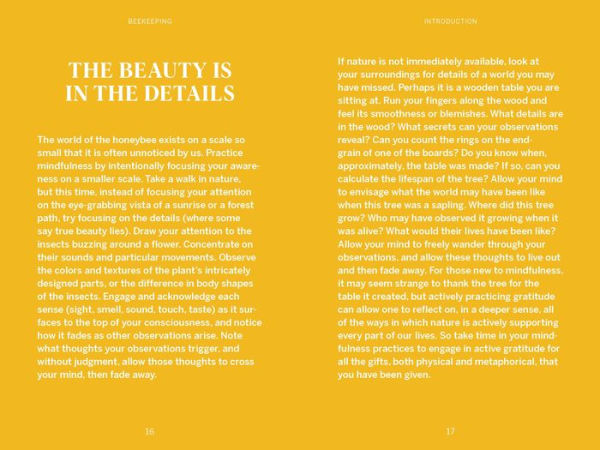 Pocket Nature: Beekeeping: Explore the Marvelous World of Honeybees