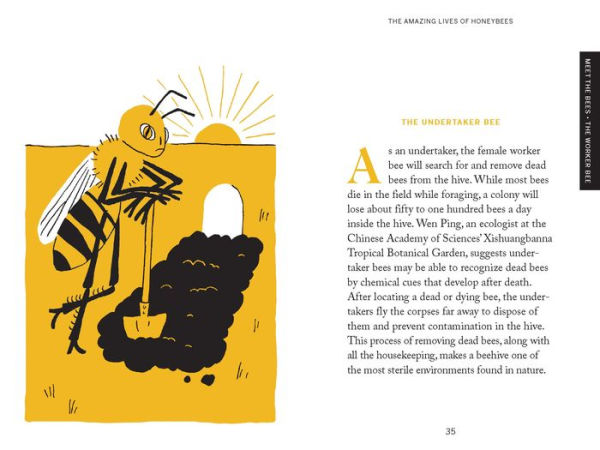 Pocket Nature: Beekeeping: Explore the Marvelous World of Honeybees