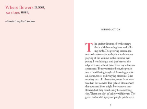 Pocket Nature: Flower Finding: Delight the Splendor of Wild Blooms