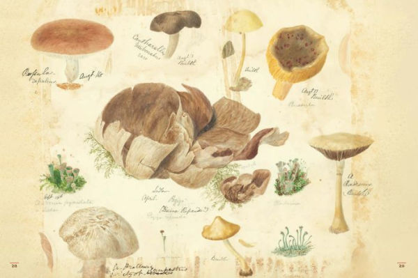 Fungi Collected in Shropshire and Other Neighbourhoods: A Victorian Woman's Illustrated Field Notes