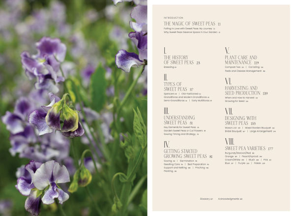 Sweet Pea School: Growing & Arranging the Garden's Most Romantic Blooms
