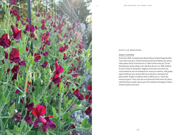 Sweet Pea School: Growing & Arranging the Garden's Most Romantic Blooms