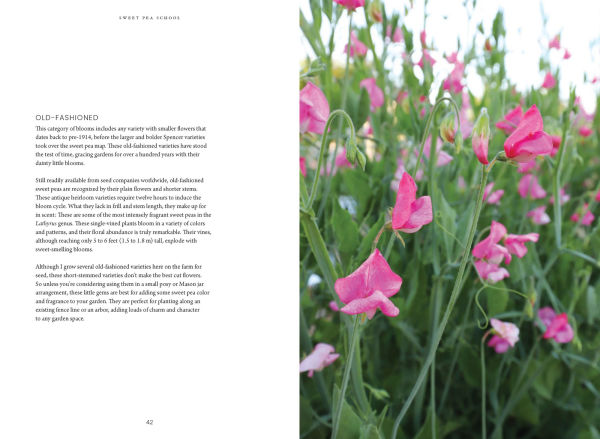 Sweet Pea School: Growing & Arranging the Garden's Most Romantic Blooms